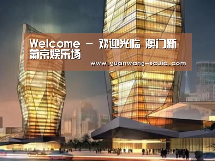 案例展示三