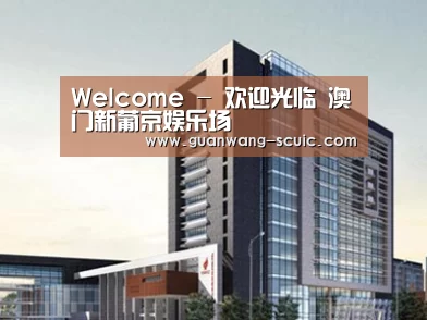 案例展示七