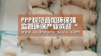PPP规范叠加环保强监管环保产业或迎“涅槃”之变“新葡京娱乐官网”(图3) 新葡京娱乐官网