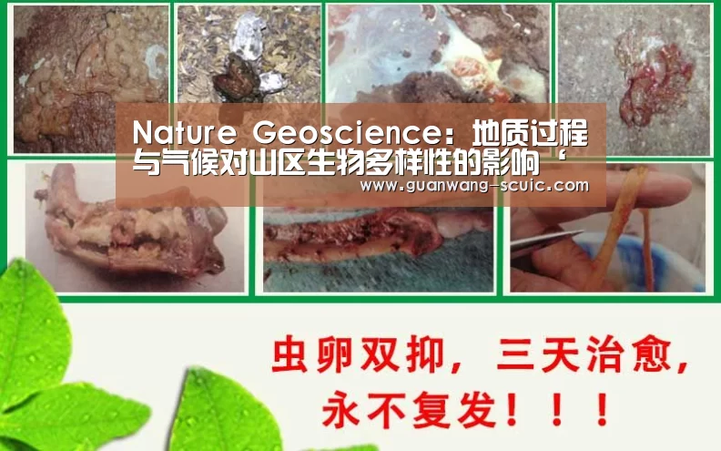 新葡京娱乐官网